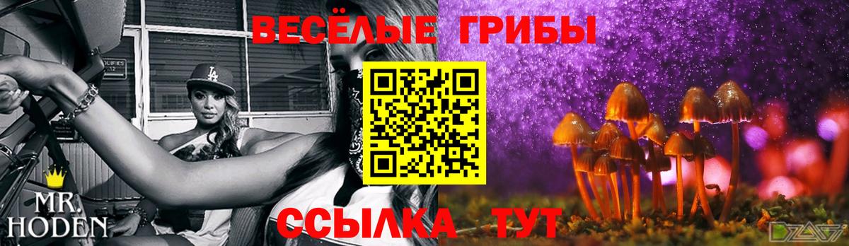 Старый Оскол  Псилоцибиновые грибы GOLDEN TEACHER  наркотики  Вход с VPN 