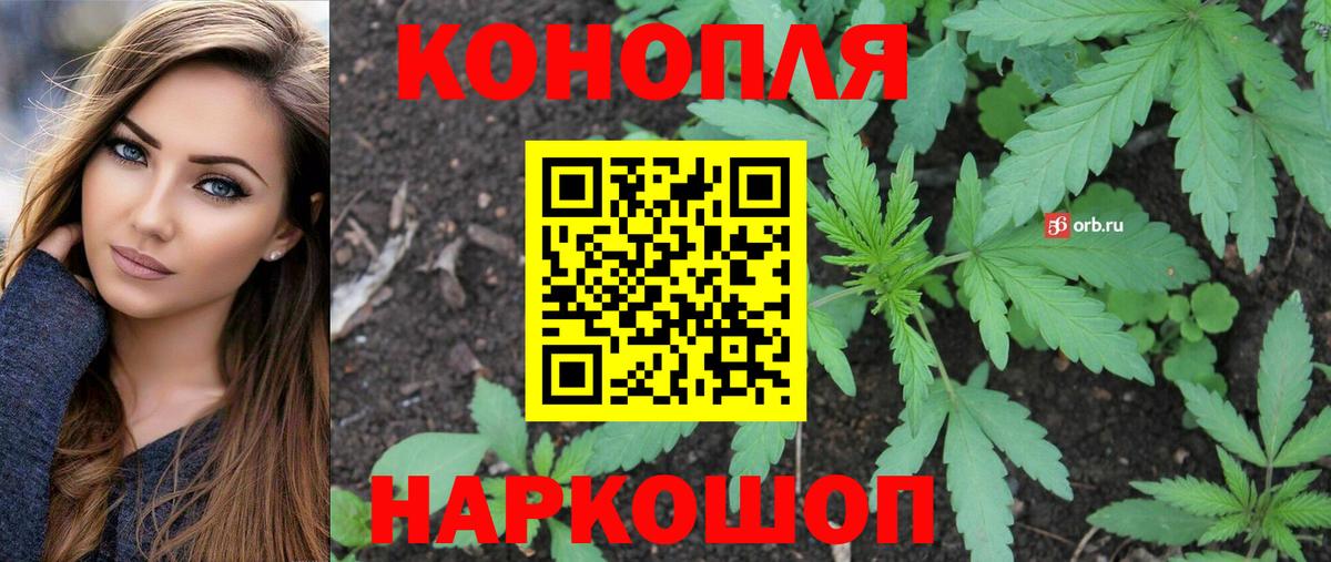 Шишки марихуана гибрид Старый Оскол